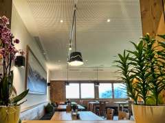 lamprechtbauer_klein