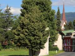 bergsteigerdorf_rundgang_sommer